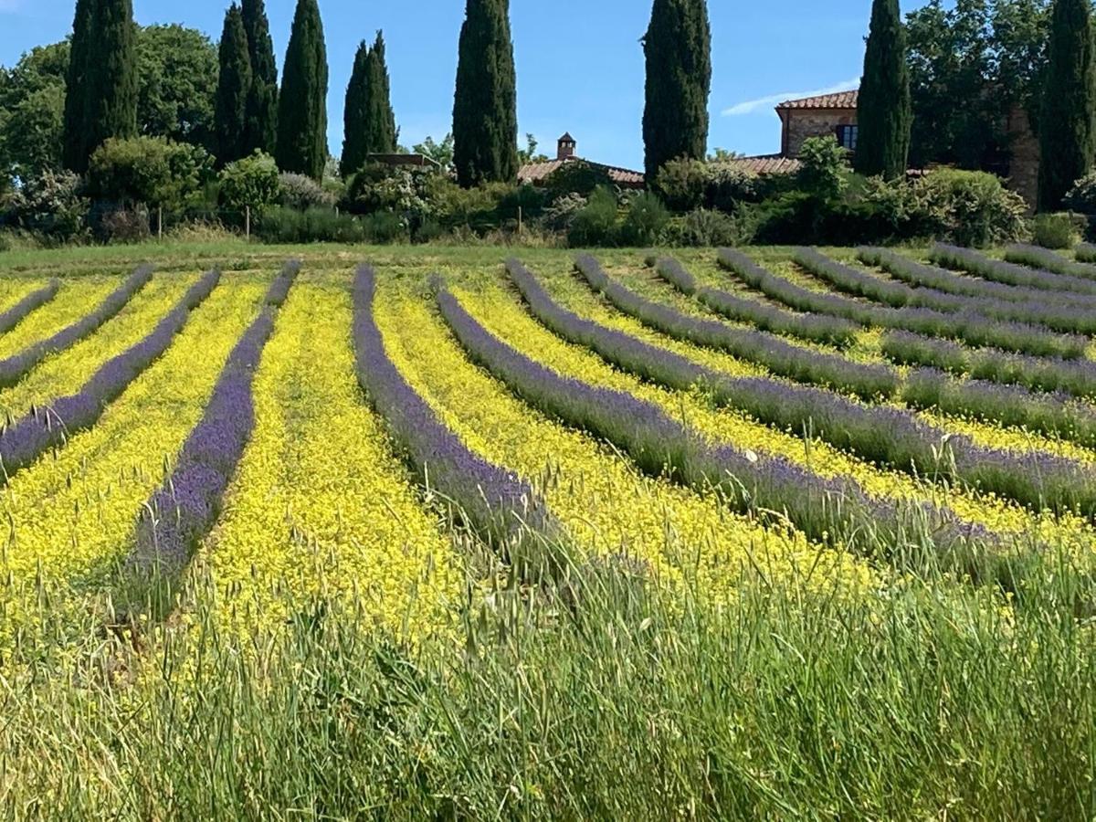 Agriturismo Pometti - Fattoria La Selva Trequanda Bagian luar foto