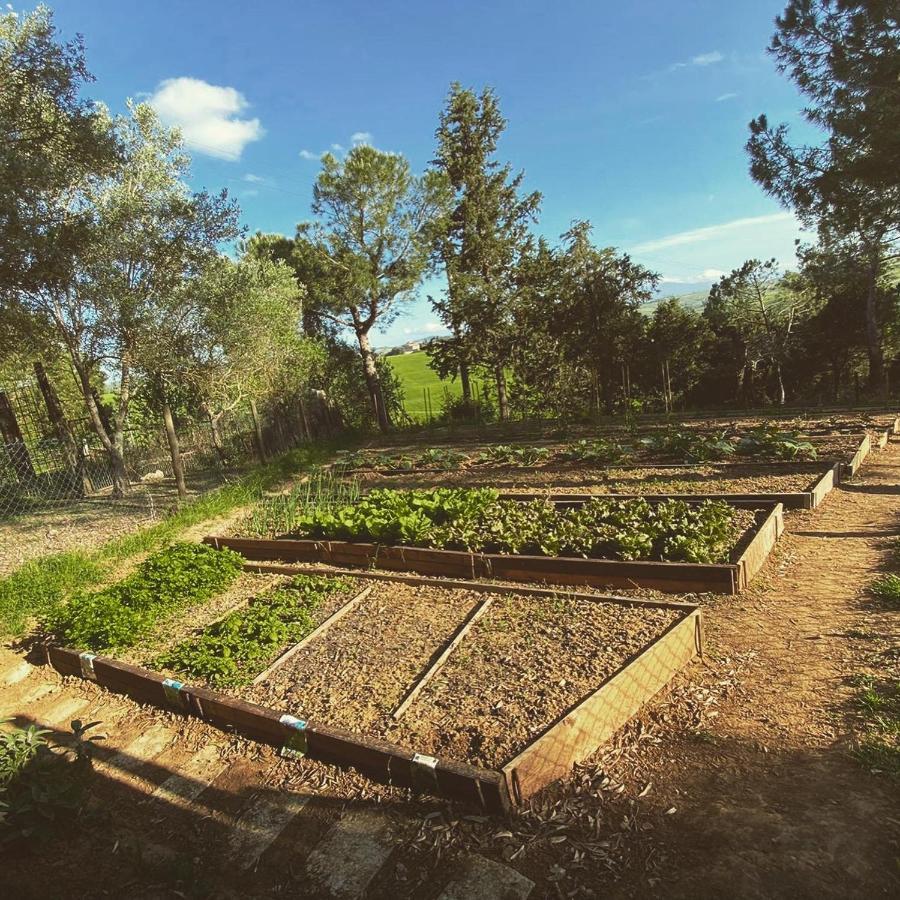 Agriturismo Pometti - Fattoria La Selva Trequanda Bagian luar foto