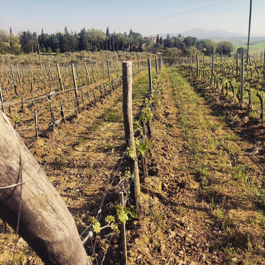 Agriturismo Pometti - Fattoria La Selva Trequanda Bagian luar foto